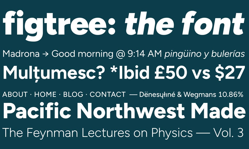 58 Best Free Variable Fonts That Will Transform Your Web Design in 2025 15 Figtree