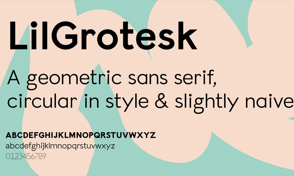 58 Best Free Variable Fonts That Will Transform Your Web Design in 2025 9 Lil Grotesk