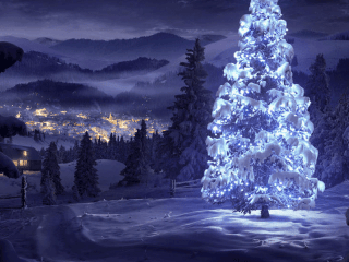 25 Best Unique and Inspirational Christmas Trees