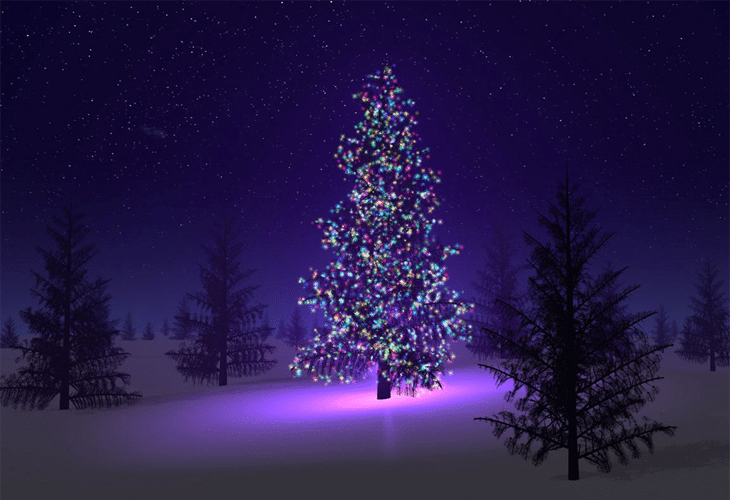 Beautiful christmas tree