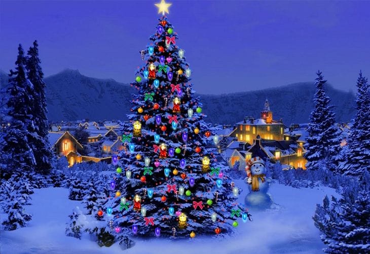Christmas-Tree-Nature