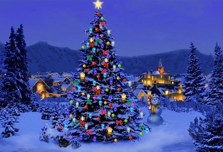 Christmas Tree in nature
