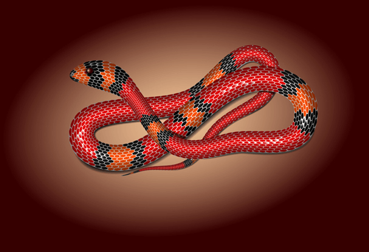 Create a Vector Snake Using Mesh Tormentor in Adobe Illustrator - cssauthor.com
