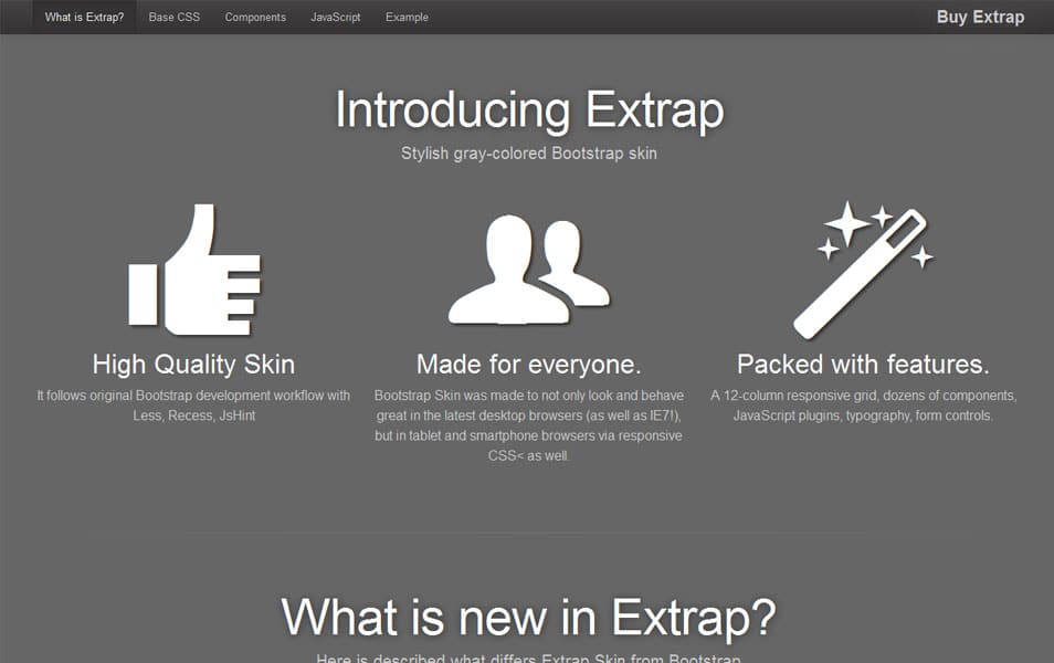 Extrap - Bootstrap Skin