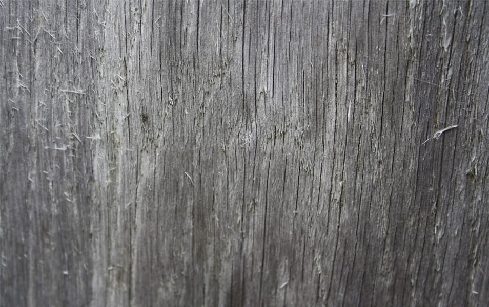 Texture Wood