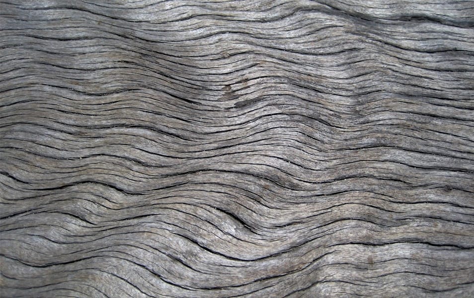 50 High-Quality Free Wood Textures