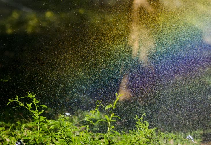 Water Rainbow - cssauthor.com