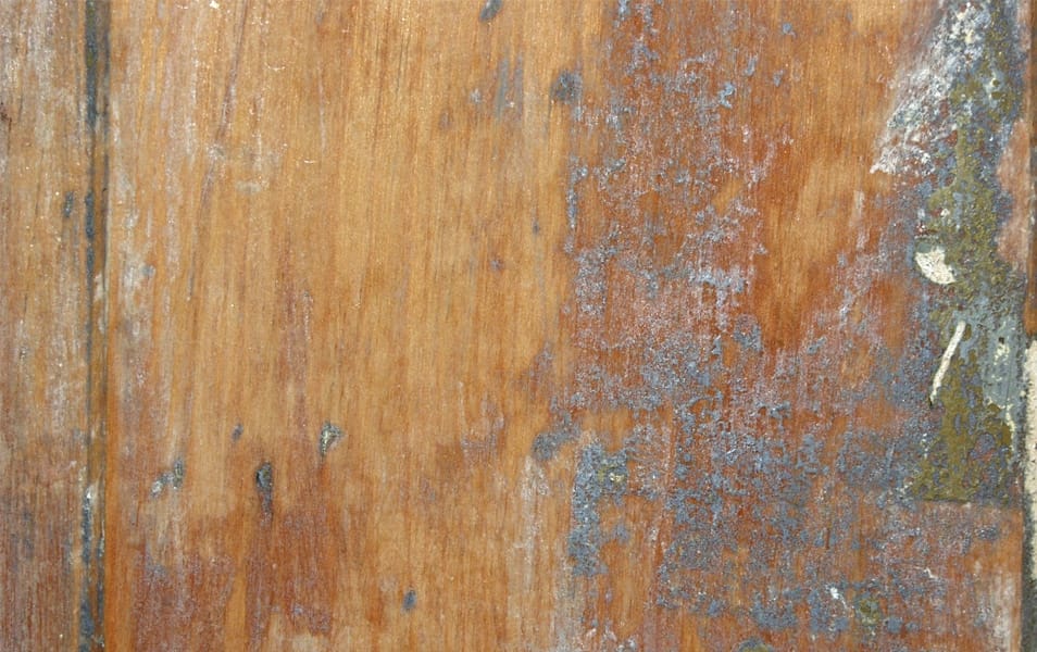 Wood Texture – Old Door