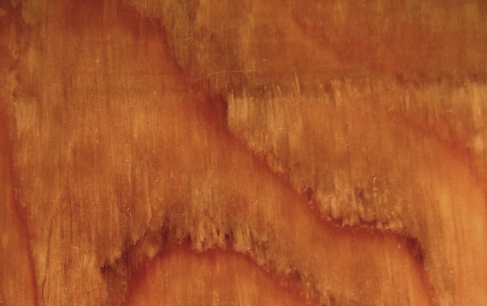 free_high_res_texture_423