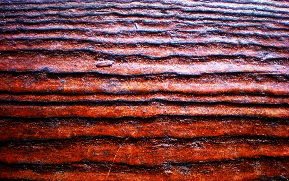 wood texture 10
