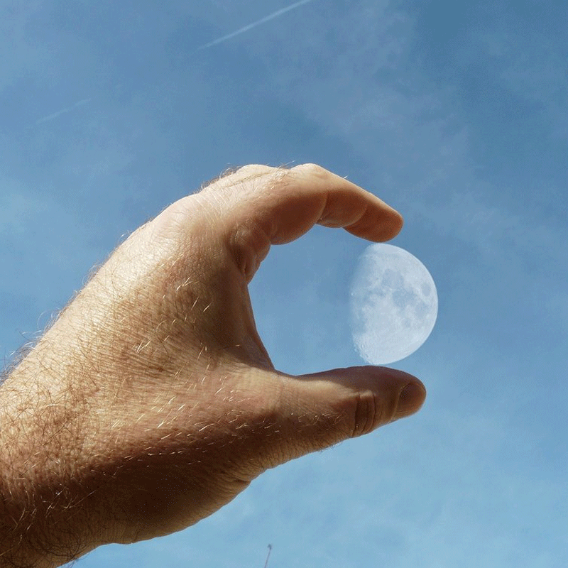 10 Incredible Examples of Funny Optical Illusions in Photos