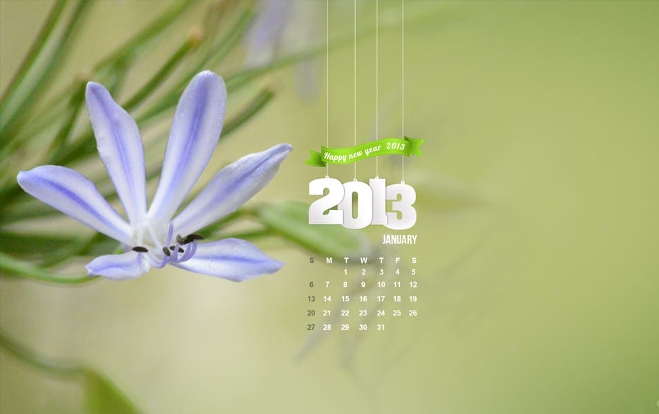 Desktop Wallpaper January 2013 Calendar