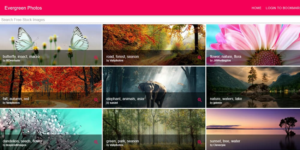 Free Stock Photos and Videos Resources For Designers 41 Evergreen Photos