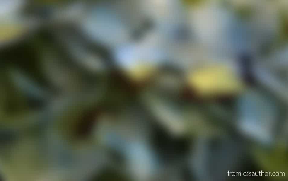 Green Blured Background PSD