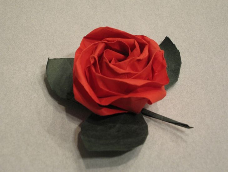 Kawasaki Rose
