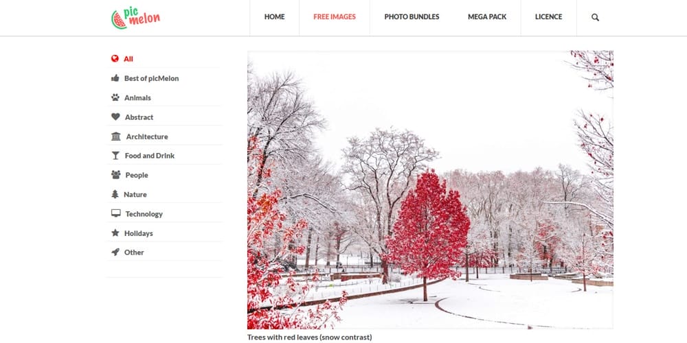 Free Stock Photos and Videos Resources For Designers 83 PicMelon