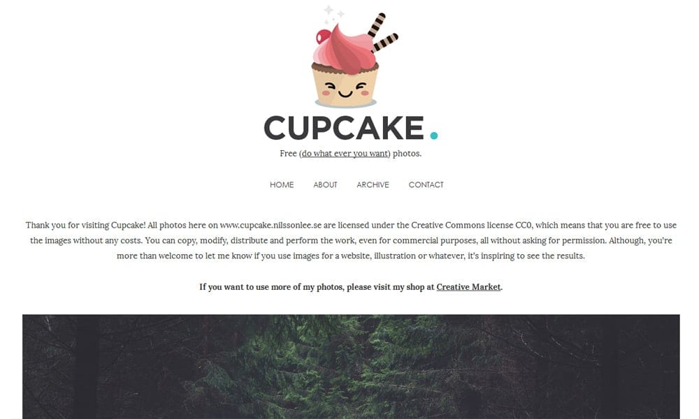 Free Stock Photos and Videos Resources For Designers 44 cupcake