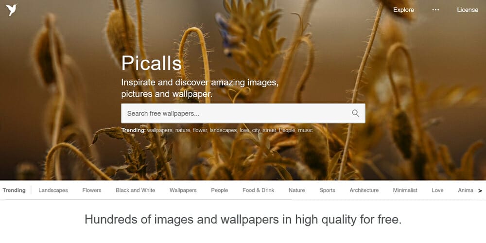 Free Stock Photos and Videos Resources For Designers 62 picalls