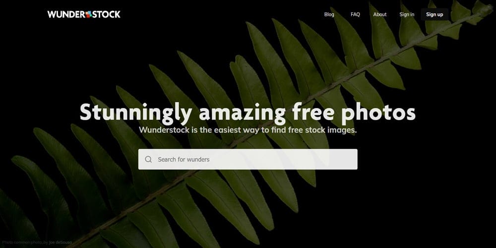 Free Stock Photos and Videos Resources For Designers 2 wunderstock