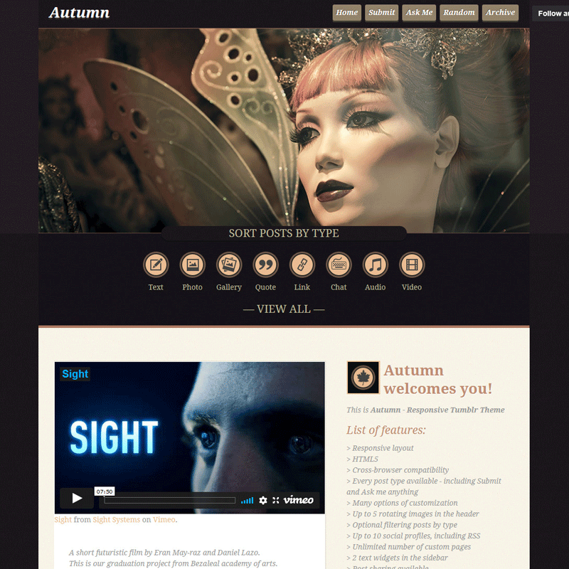 15 High Quality Premium Responsive Tumblr Theme