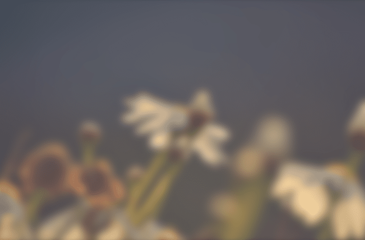 Beautiful Collection of Blurred Backgrounds - cssauthor.com