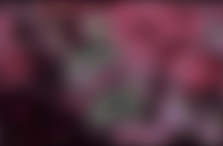 Beautiful Collection of Blurred Backgrounds - cssauthor.com