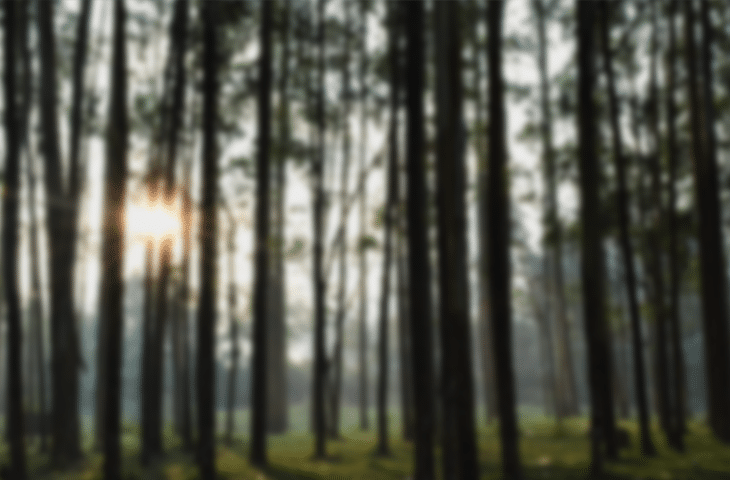 Beautiful Collection of Blurred Backgrounds - cssauthor.com