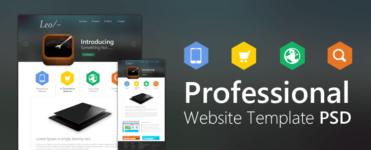 Professional Website Template Design PSD from CSS Author