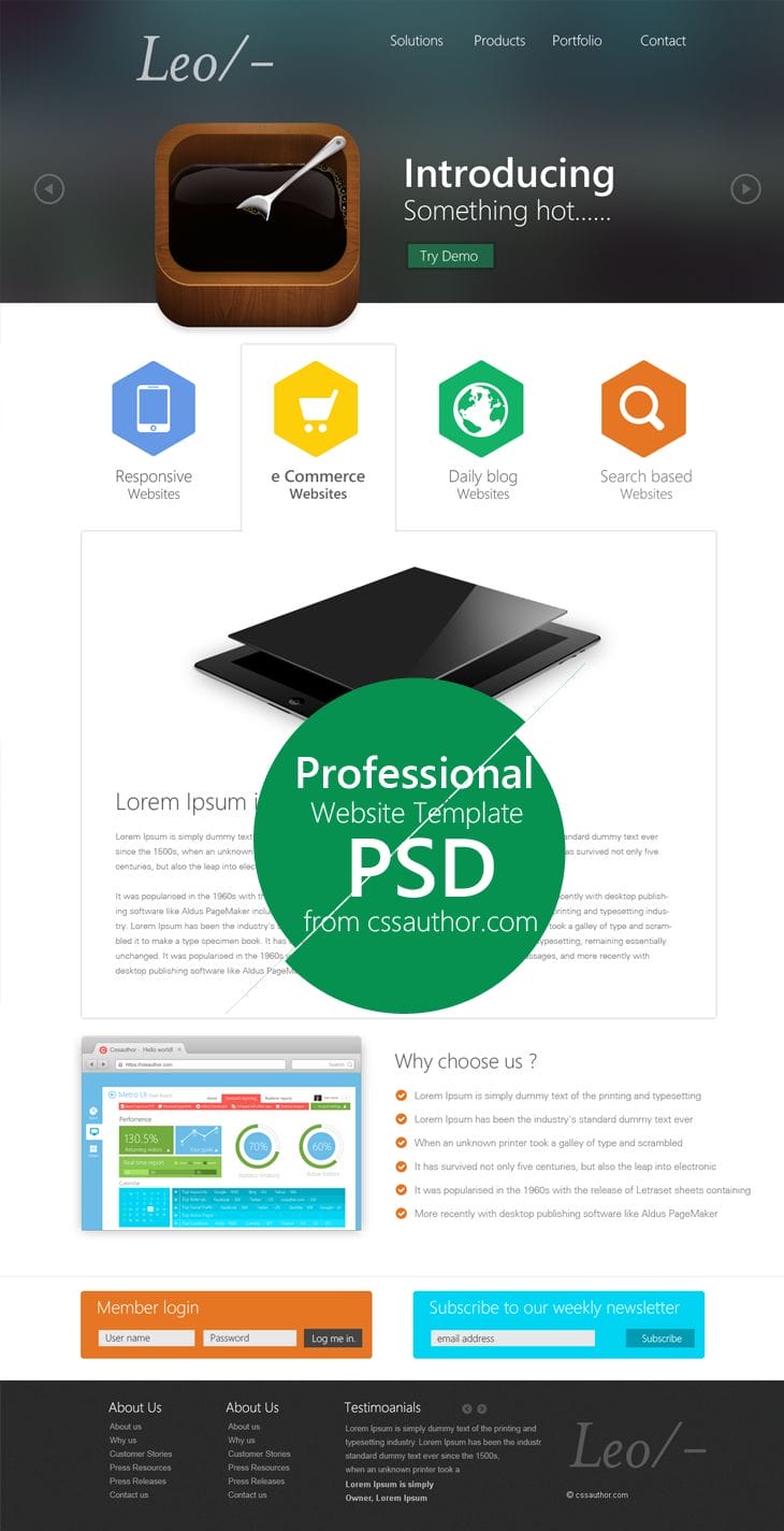 Professional Website Template Design PSD from CSS Author