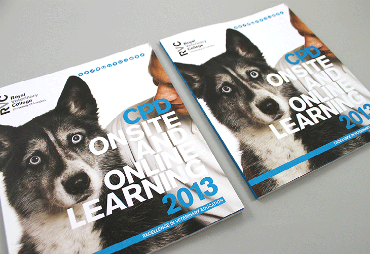 RVC-CPD-Brochure-2013