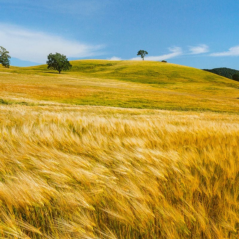 30 Beautiful Examples of Nature Photography Inspiration