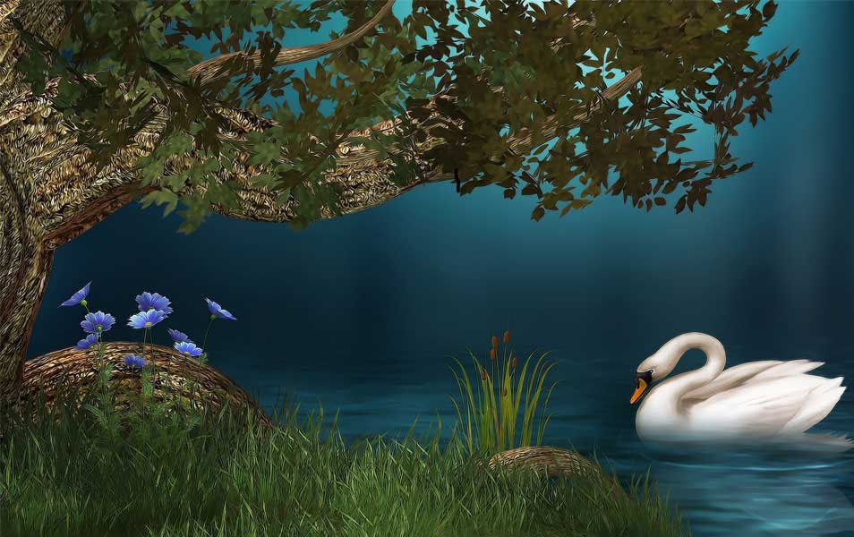 3D Swan Wallpaper