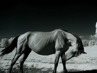 40 Beautiful Collection of Infrared Photography for Your Inspiration