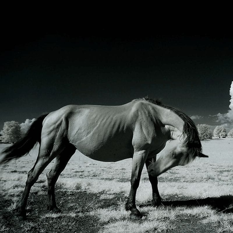 40 Beautiful Collection of Infrared Photography for Your Inspiration