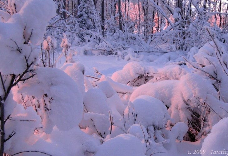 Alpinglow-Lights-The-Snow