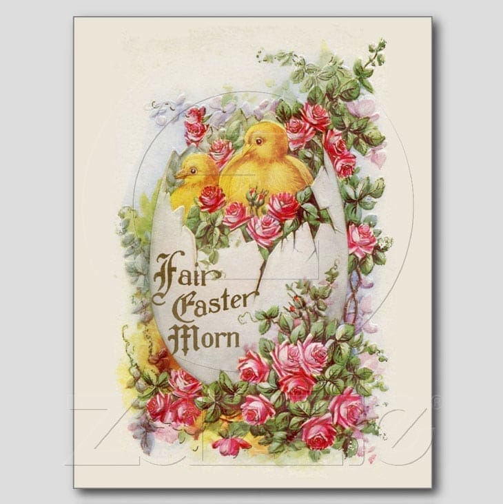 Baby Chicks and Roses Vintage Easter Postcard