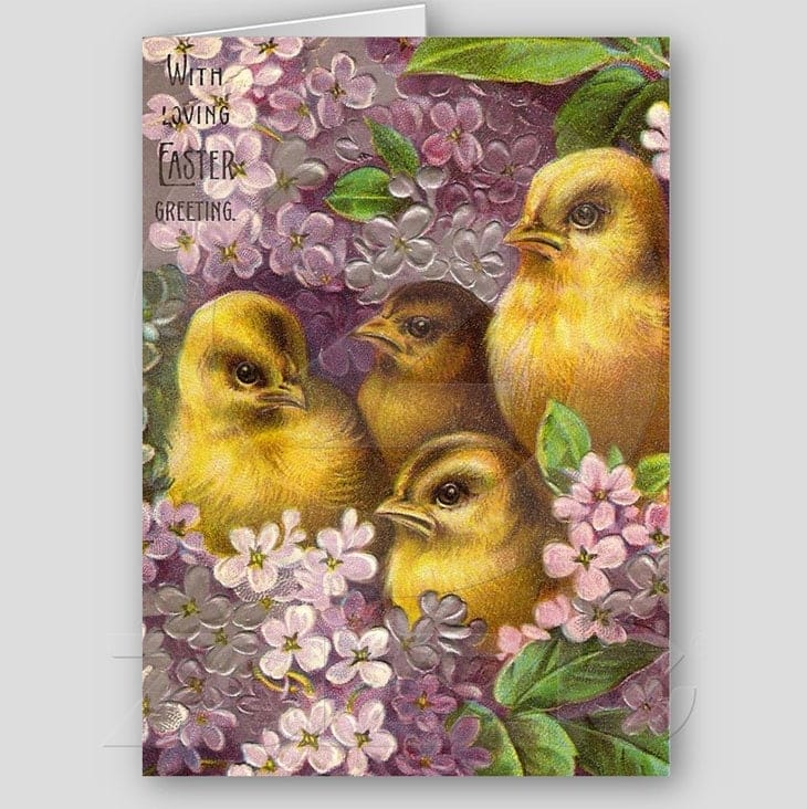 Easter Chicks Greeting Cards