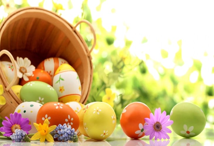 Easter Eggs Background Wallpaper