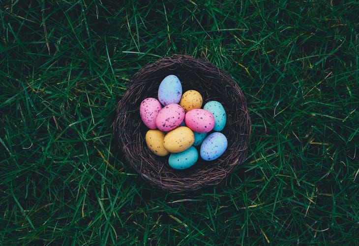 Easter Eggs in a Nest on the Grass