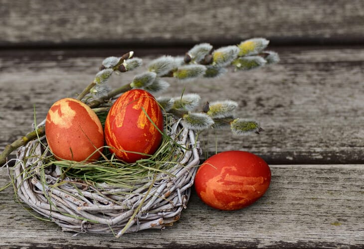 Easter Eggs on Nest
