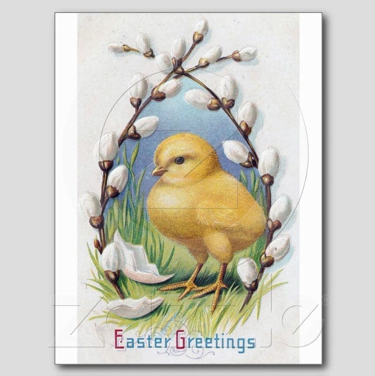 Easter Greetings Yellow Chick Post Cards