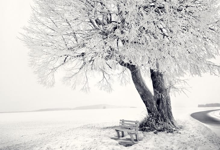 40 Beautiful Free Winter Wallpaper Designs For Inspiration, free