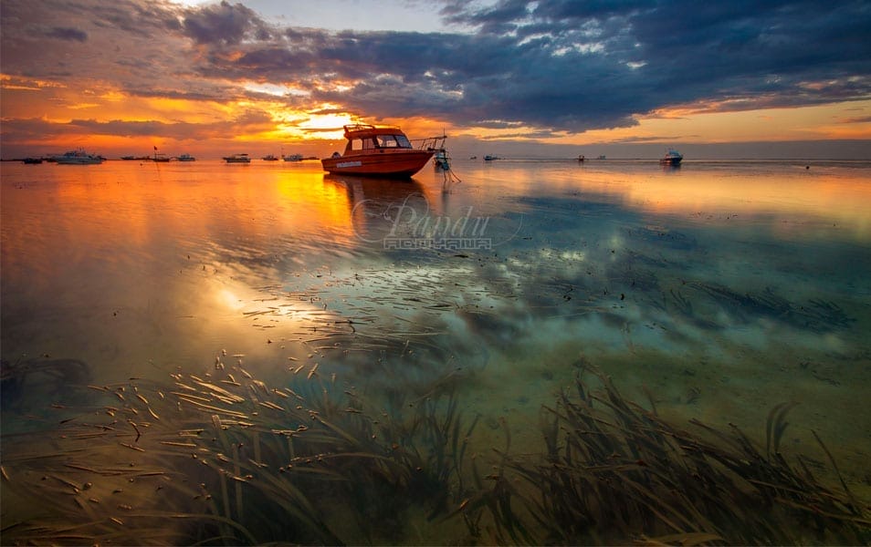 Gently Rising [Explore]