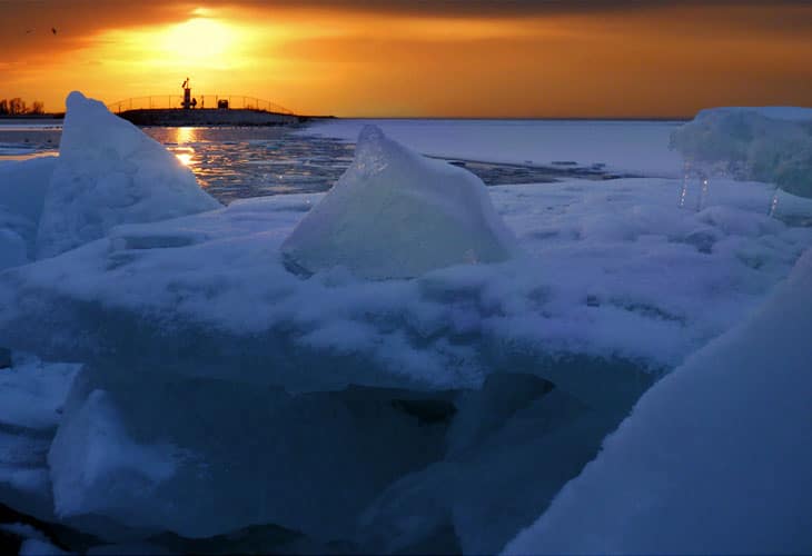 Ice-Age-4-Premiere-in-Amsterdam