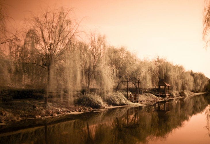Infrared Photography 