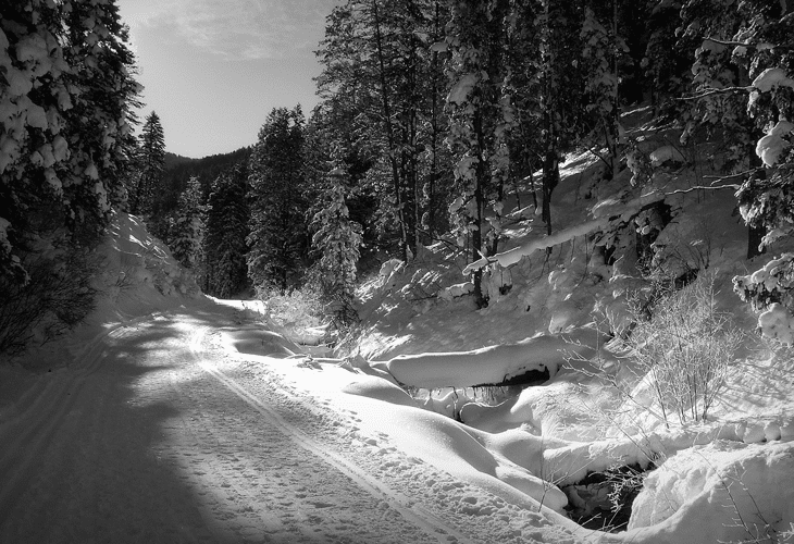 Millcreek Canyon in Winter - Natural Photography