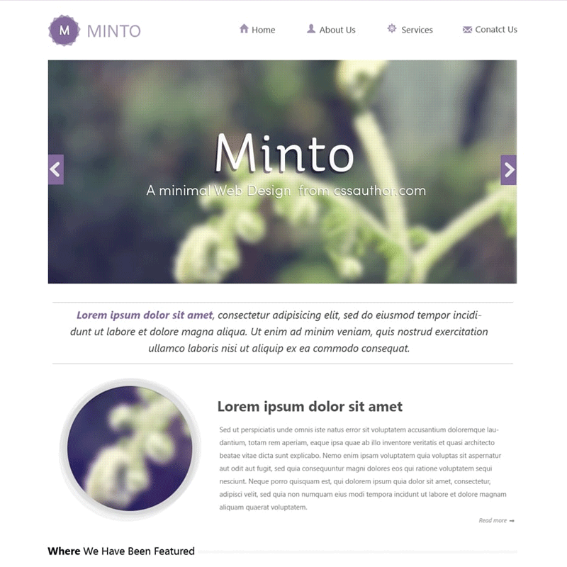 Minto A Free Minimal Website Design Template PSD