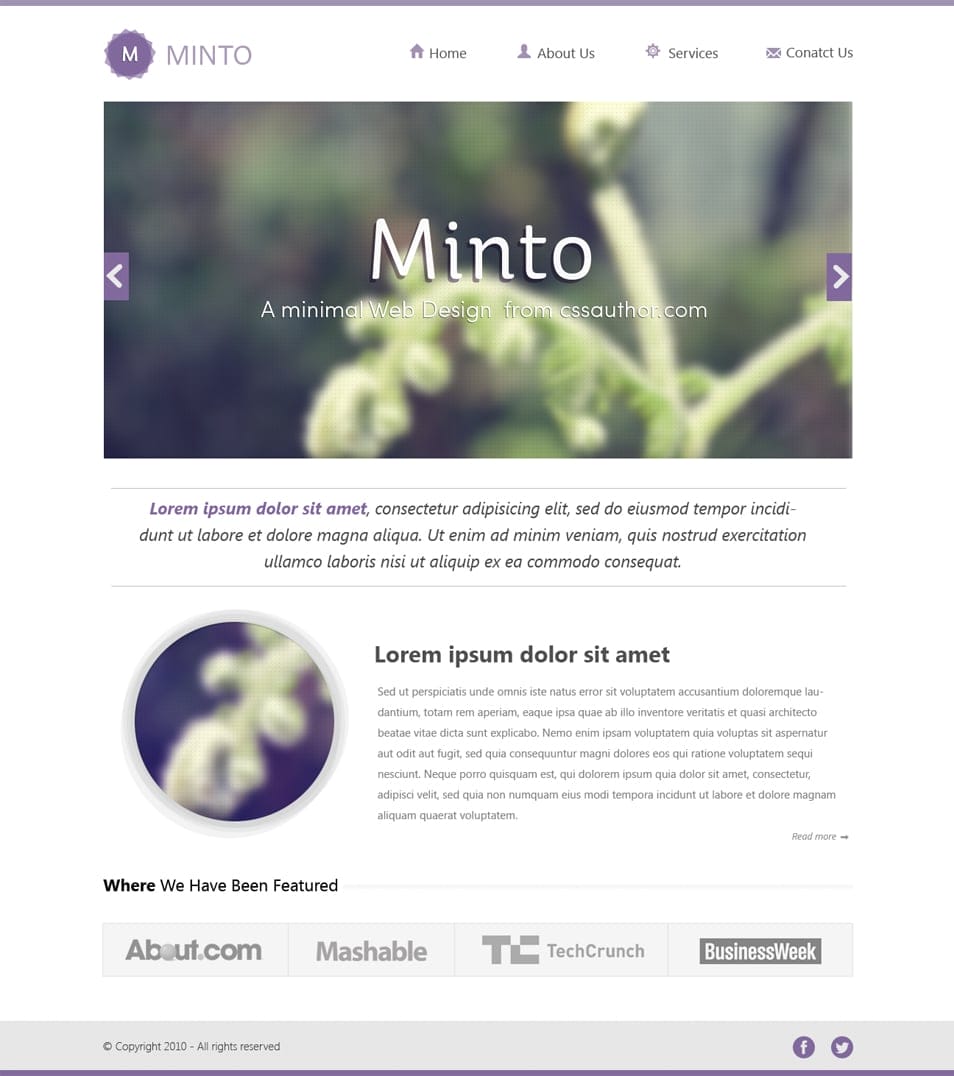 Minto Minimal Website Design Template PSD