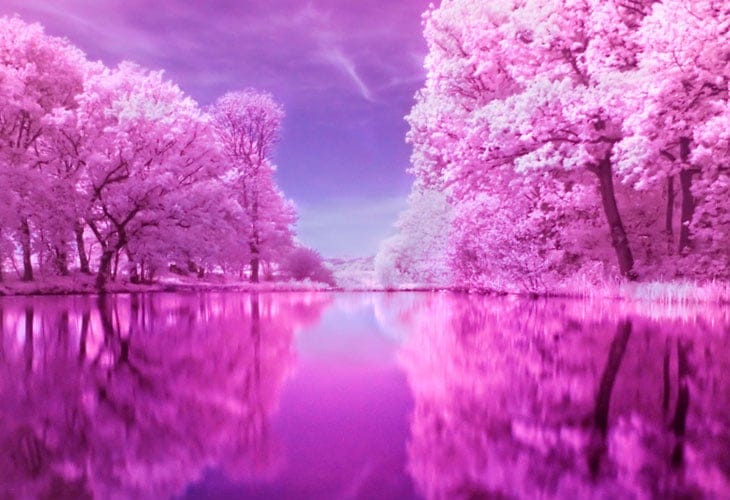 Rugeley-Staffordshire