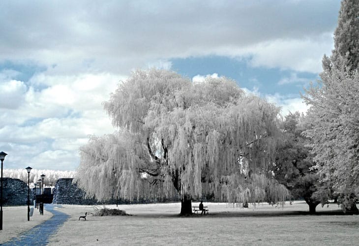Serenity-in-Infrared